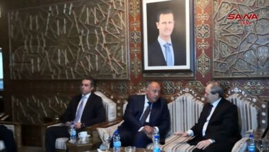 ماذا يحمل وزير الخارجية المصري إلى دمشق؟