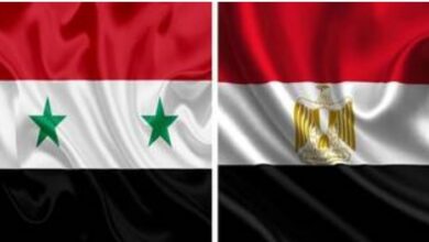 أول مسؤول مصري يصل سوريا منذ 2011