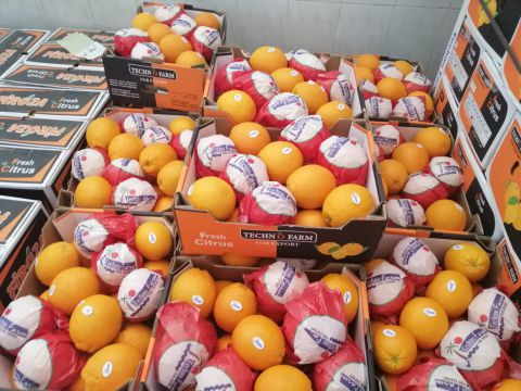 سورية.. تصدير 250 طن برتقال إلى شبه جزيرة القرم