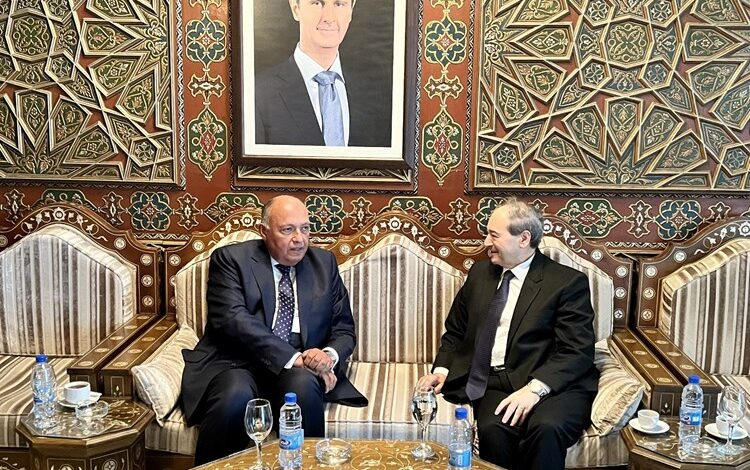 الرئيس الأسد يستقبل وزير الخارجية المصري في دمشق