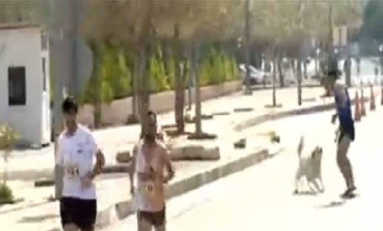 مفاجأة بماراثون في مصر... كلب شارد يلاحق المتسابقين.. شاهد!