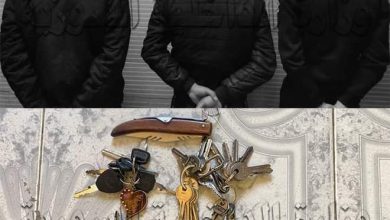 القبض على ثلاثة أشخاص قاموا بترويع الأهالي في بلدة النشابية بريف دمشق