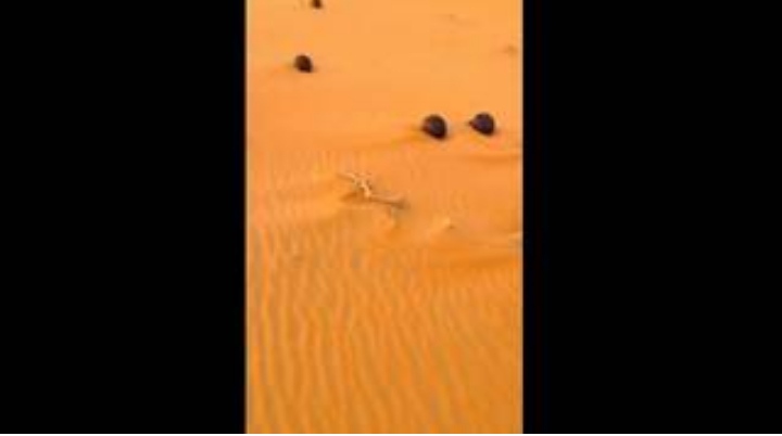 ظهور كرات حديدية غريبة في صحراء الربع الخالي يثير حيرة السعوديين ومغردون يحلون اللغز (فيديو)
