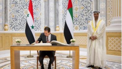 الأسد في الإمارات: ترسيخٌ للحقبة الجديدة