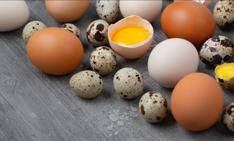 حيل بسيطة تمكنك من معرفة ما إذا كان البيض فاسداً أم طازجاً