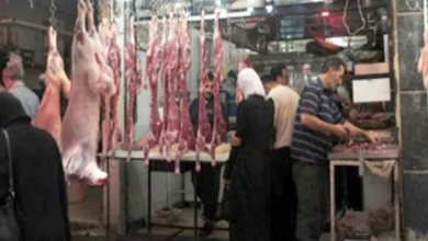تفوق كل التوقعات…ارتفاع أسعار اللحوم
