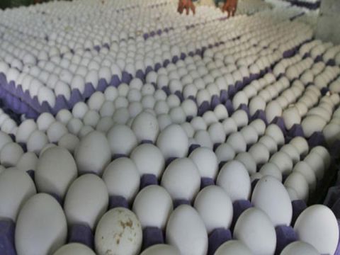 قبيل رمضان.. البيضة بـ 800 ليرة وكيلو لحم الخروف بـ80 ألفاً في الأسواق