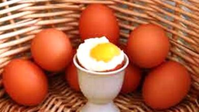 طريقة خطأ في طهي البيض تصيبك بمرض خطير