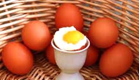 طريقة خطأ في طهي البيض تصيبك بمرض خطير