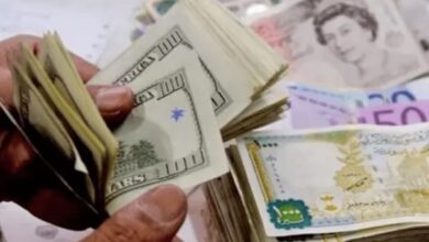 وزيرة سابقة تصف قرار المركزي رفع سعر الدولار بالخطوة الجريئة والهامة