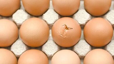 حيلة ذكية لسلق البيضة المتشققة دون أن تتلف