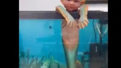 وجه طفل باسم وجسم سمكة.. فيديو لمخلوق غريب يثير الريبة
