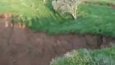 سوريا.. الأرض تبتلع التربة والنباتات في محافظة الرقة (فيديو)