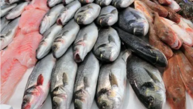 في ظل ضعف القدرة الشرائية…تراجع حركة سوق السمك