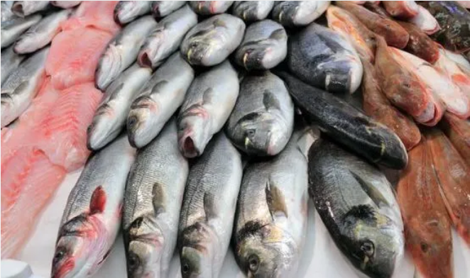 في ظل ضعف القدرة الشرائية…تراجع حركة سوق السمك