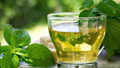 شاي النعناع.. مشروب صحي له فوائد عظيمة