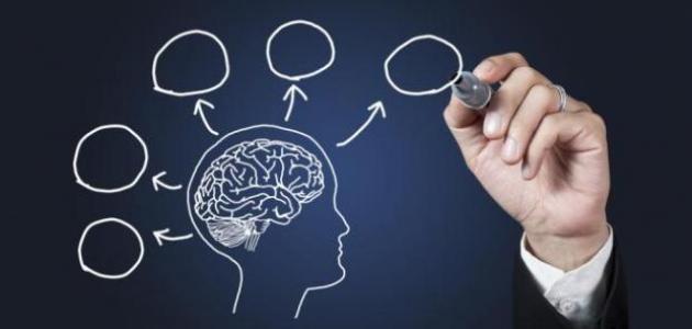 قوة العقل: 14 استراتيجية يقوم بها أصحاب العقول القوية