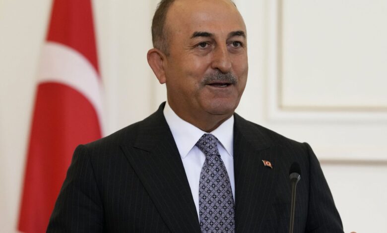 وزير الخارجية التركي : الجيش السوري لا يمكنه الآن القيام بمهمة تأمين الحدود