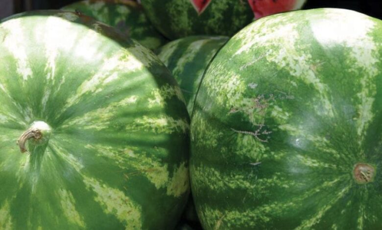 ما قصة البطيخ في اسواق دمشق