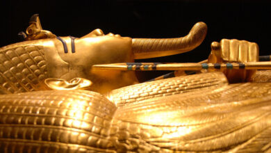 "لعنة المومياء".. عالم يروي قصة إصابته بمرض "غامض" بعد فتح مقبرة فرعونية في مصر