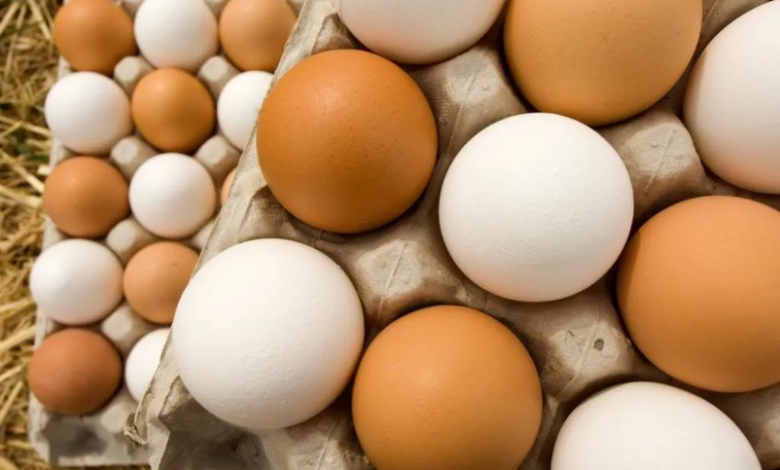 هل البيض البني صحي أكثر من الأبيض؟